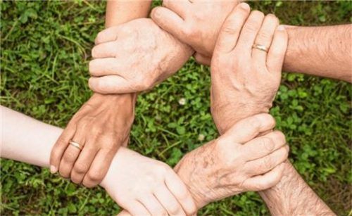 Das Nachhaltigkeitsforum vernetzt Menschen, Natur und Mitwelt.Foto pixabay