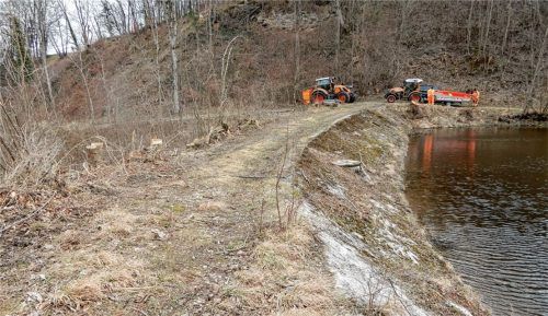 Der Damm am Waldsee, an dem Geäst und Holz entfernt wurden, um im Falle eines Hochwassers ein Überlaufen durch mögliches Treibgut zu verhindern.Foto Kirchner