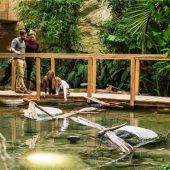 Einmalige Familienzeit