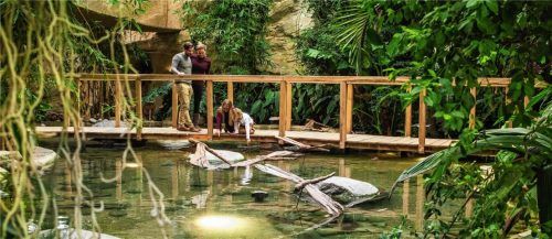 Der Ferienpark Center-Parcs im Allgäu bietet die Möglichkeit, abwechslungsreiche und entspannte Ferien zu verbringen. Neben einem Badeparadies mit großem Wellness- und Spabereich gibt es zwei wetterunabhängige Spielwelten. Übernachten können die Gäste in komfortablen und gemütlichen Ferienhäusern.