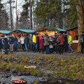 Zauberhafte Einstimmung