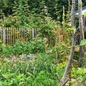 Bienen lieben‘s wildromantisch