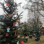 Märchenhaftes Spektakel läuft bis Ende Januar