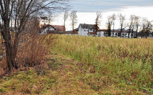Die Bebauung dieser Fläche am östlichen Ortseingang von Feldkirchen dürfte sich noch ein Jahr hinauszögern. Foto merk