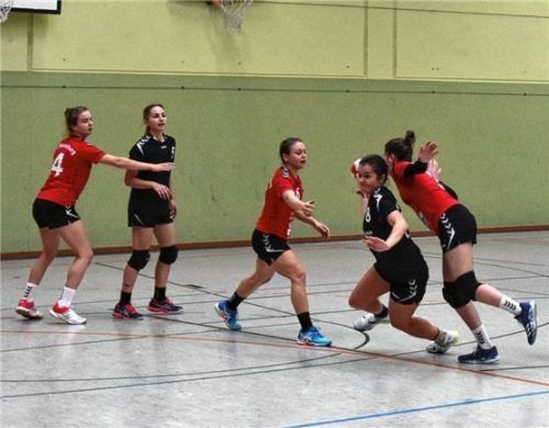 Die Damen besiegten Karlsfeld mit 33:28. Foto  Hk