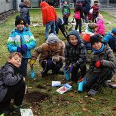 Schule mit „grünem Daumen“