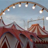 Manege frei für den guten Zweck