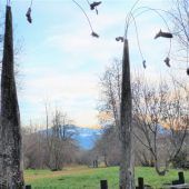 Männerstiefel für weibliches Kunstwerk