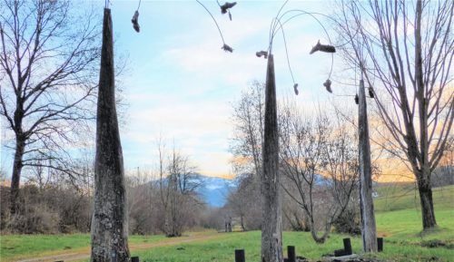 „Die Zukunft ist weiblich“ wieder vollständig: Die Frauenschuhe baumeln noch am Kunstwerk am Römerweg in Rimsting. Für die gestohlenen Männerschuhe am Boden gab es jetzt Ersatz.Foto ümmler