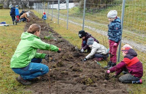 Eifrig beschäftigt waren die Schulkinder der Kombiklasse 1/2, als sie mit ihrer Lehrerin Julia Deser sowie Johanna Vilsmeier, Gerda Benner und Patrizia Weindl vom „Treffpunkt Wildland“ die Hecke pflanzten.Foto  bachmaier