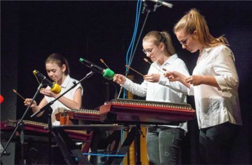 Ein Klangerlebnis war dieses Hackbrett-Trio.