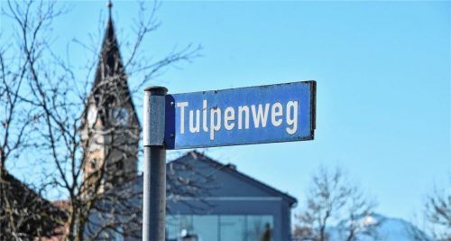 Eine der vielen Erfolgsgeschichten, auf die der Bürgermeister zurückblickte: Am Tulpenweg entsteht eines der größten Neubaugebiete seit Jahrzehnten. Foto  Schlecker