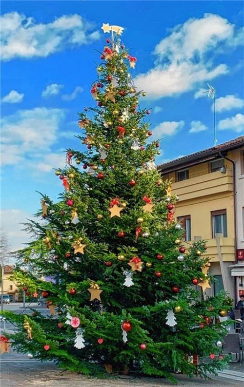 Eine Tradition, die in Italien ihresgleichen suchen dürfte: ein bayerischer Christbaum ziert den Marktplatz. In Caneva nun schon zum 16. Mal.