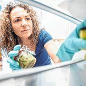 Gegen Eispanzer und Bakterienim Kühlschrank