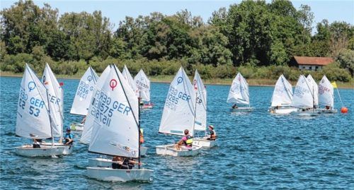 Für die Optiliga gibt es wieder fünf Regatten.Foto niessen