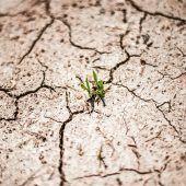 Die Klimadebatte hält an