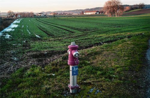 Hier in Forsting entsteht voraussichtlich bald eine Gewerbefläche. Foto günster