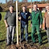 Streuobstbäume am Hilgerhof werden mehr