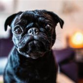 Plan für neues Theater