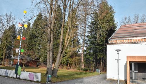 Kindergarten statt Wohnungen, darauf wird es auf dem Grundstück hinter den Bäumen, in direkter Nachbarschaft des jetzigen Kindergartens und der katholischen Kirche, an der Eichendorffstraße in Stephanskirchen wohl hinauslaufen. Foto  Schlecker