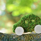 Die Klimadebatte geht weiter