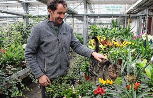 Lieblingsmensch von „Chefin“: Gärtnereileiter Julius Kagerer mit Mieze inmitten der botanischen Pracht.Fotos Huckemeyer
