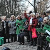 Weihnachtliches im Stadtpark