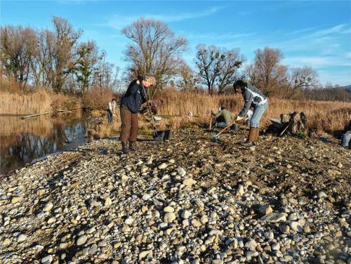 Mit Motorsense, Pickel und Grabgabel waren die Naturschützer am Simssee im Einsatz. Foto re
