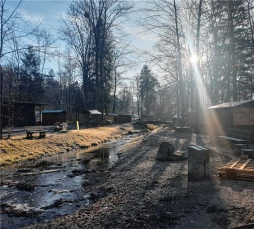 Morgen startet der Waldadvent im Bad Feilnbacher Naturpark – jetzt wird noch gewerkelt. Foto re