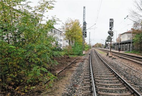 Nach dem radikalen Rückschnitt des Wildwuchsgrüngürtels (links) befürchtet Rudi Gebhart (ÜWG) eine Gefährdung für Bahnfahrer, die dort möglicherweise die Gleise unerlaubt überqueren. Foto  Baumann