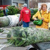 OVB-Christbaumverkauf