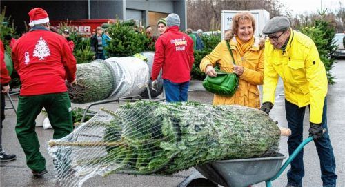 Ob hoch oder niedrig, ausladend oder zierlich: Andreas Schütz hat den richtigen Tannenbaum parat. Foto RE