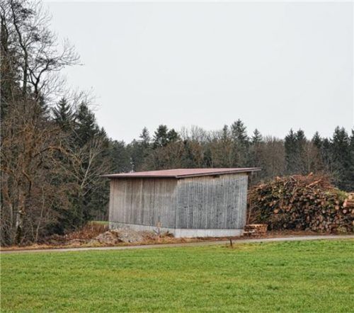 Rechts neben dem Schuppen soll eine neue Trocknungs- und Lagerhalle für Hackgut errichtet werden. Foto merk