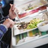 Ökologie in der Schulkantine