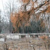 Leben, wo früher Peter Maffay probte