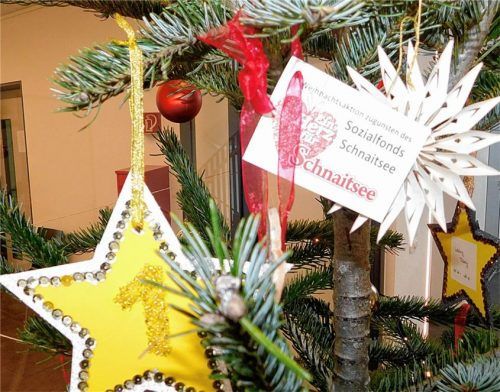Sterne mit den Wünschen von Kindern aus bedürftigen Familien und „Herzen für Schnaitsee“ für den Sozialfonds hängen am Wunschbaum im Foyer des Rathauses. Foto  unterforsthuber