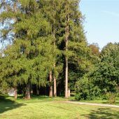 Schlosspark zum Teil gesperrt