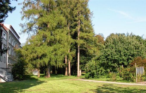 Vor allem im Sommer beliebt bei Spaziergängern: der Park des Caritasheimes in Schonstett. Der alte Baumbestand ist jedoch zum Teil erkrankt, Teile des Areals müssen aus Sicherheitsgründen gesperrt werden. Foto Voggenauer