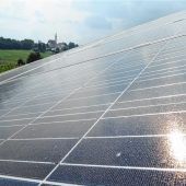 Gutes Wasser und genügend Sonne