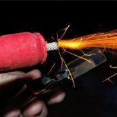 Kein Ausgang für Katzen an Silvester