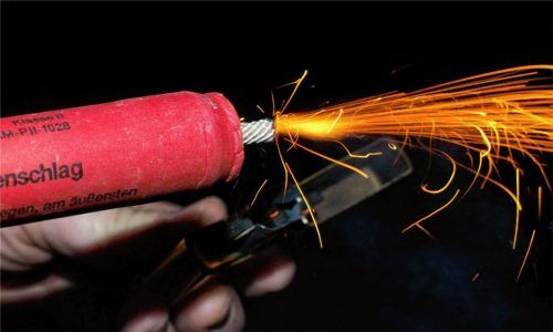 Was den einen freut, kann für den anderen zu einem Trauma führen: Laute Silvesterknaller bringen manches Tier in arge Bedrängnis. Foto  dpa