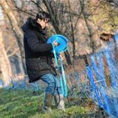 Aktuell keine Gefahr durch die Schweinepest