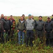 Auch Regenwurm profitiert