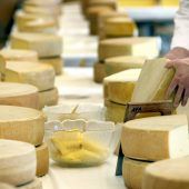 Bauern warnen vor Brexit-Folgen