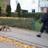 Retten mit dem richtigen Riecher