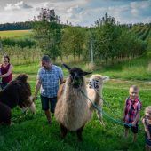 Mit Alpaka-Wolle zur Grünen Woche