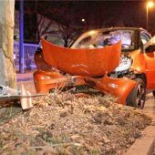 Mit dem Smart gegen einen Baum