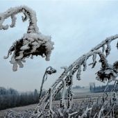 Ja is denn scho Winter?