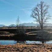 Frühling an der Mangfall
