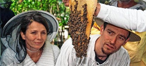 An Junkimkern soll das Wissen über das Halten von Bienen weitergegeben werden. Foto re